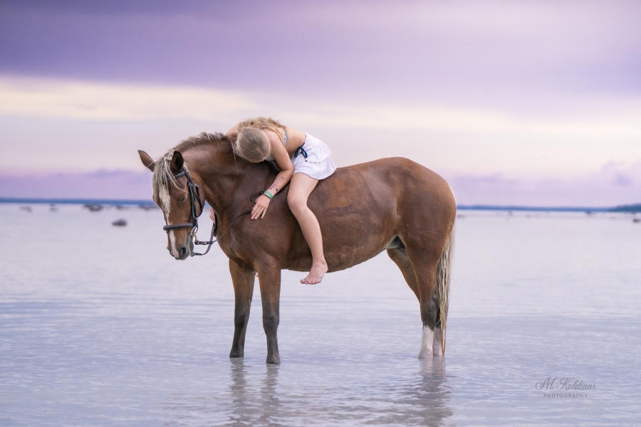 merepilt - nagusid ei nae